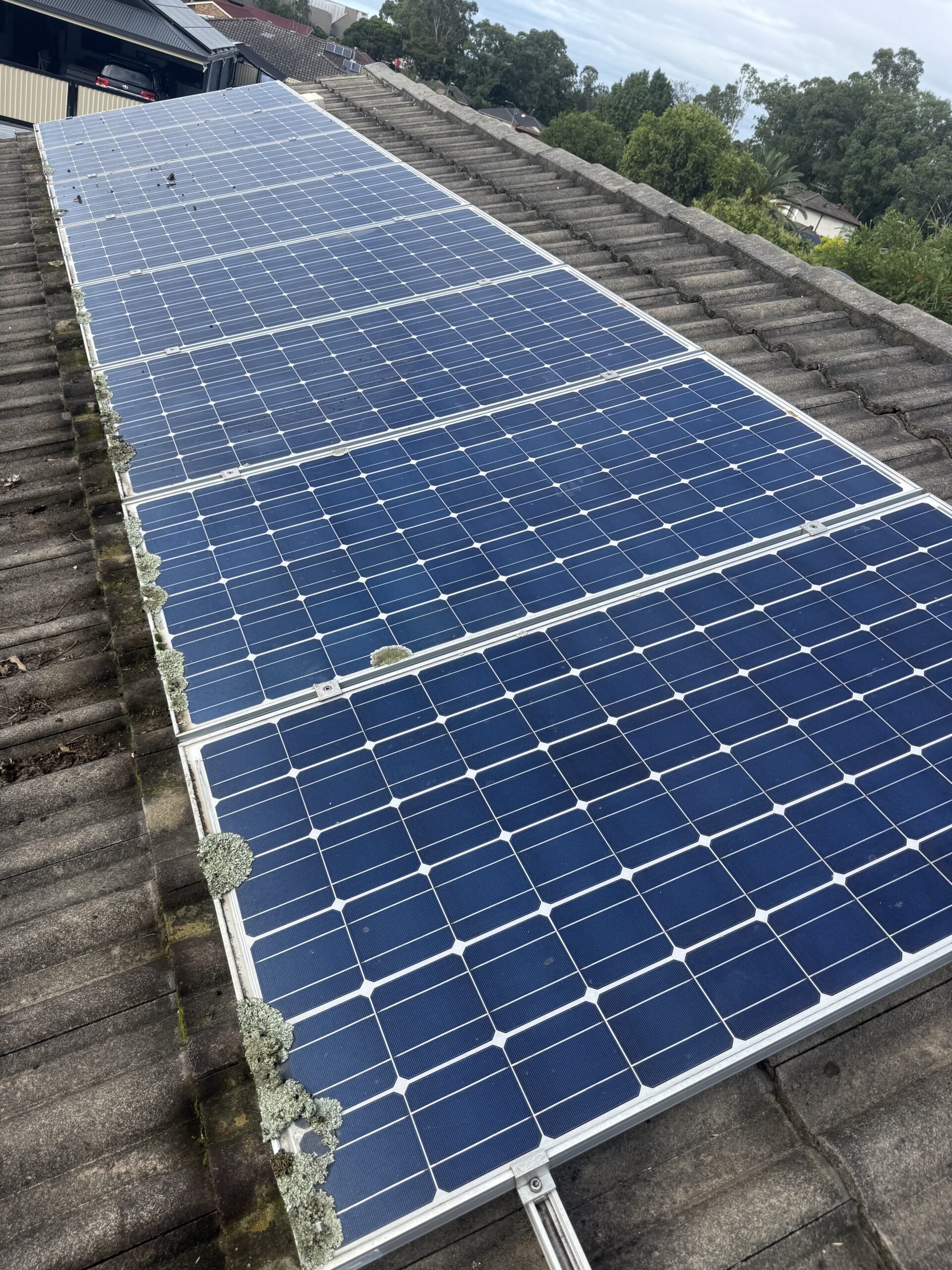 Dirty roof before solar cleaning